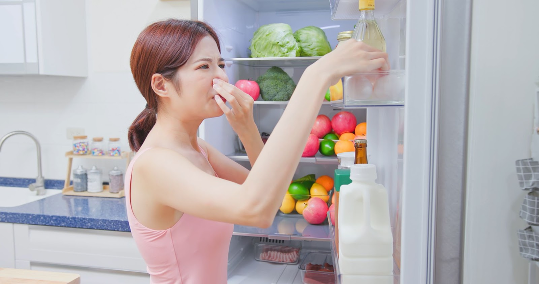 Common refrigerator problems - strange odors